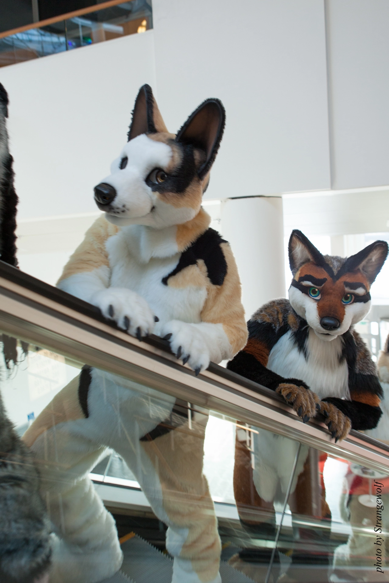 full image IMG_0401-lr19t.jpg