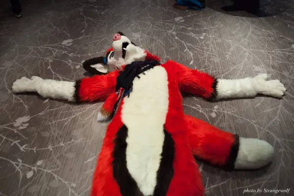 IMG_7426-lr16t.jpg of CFZ/CFZ2016/