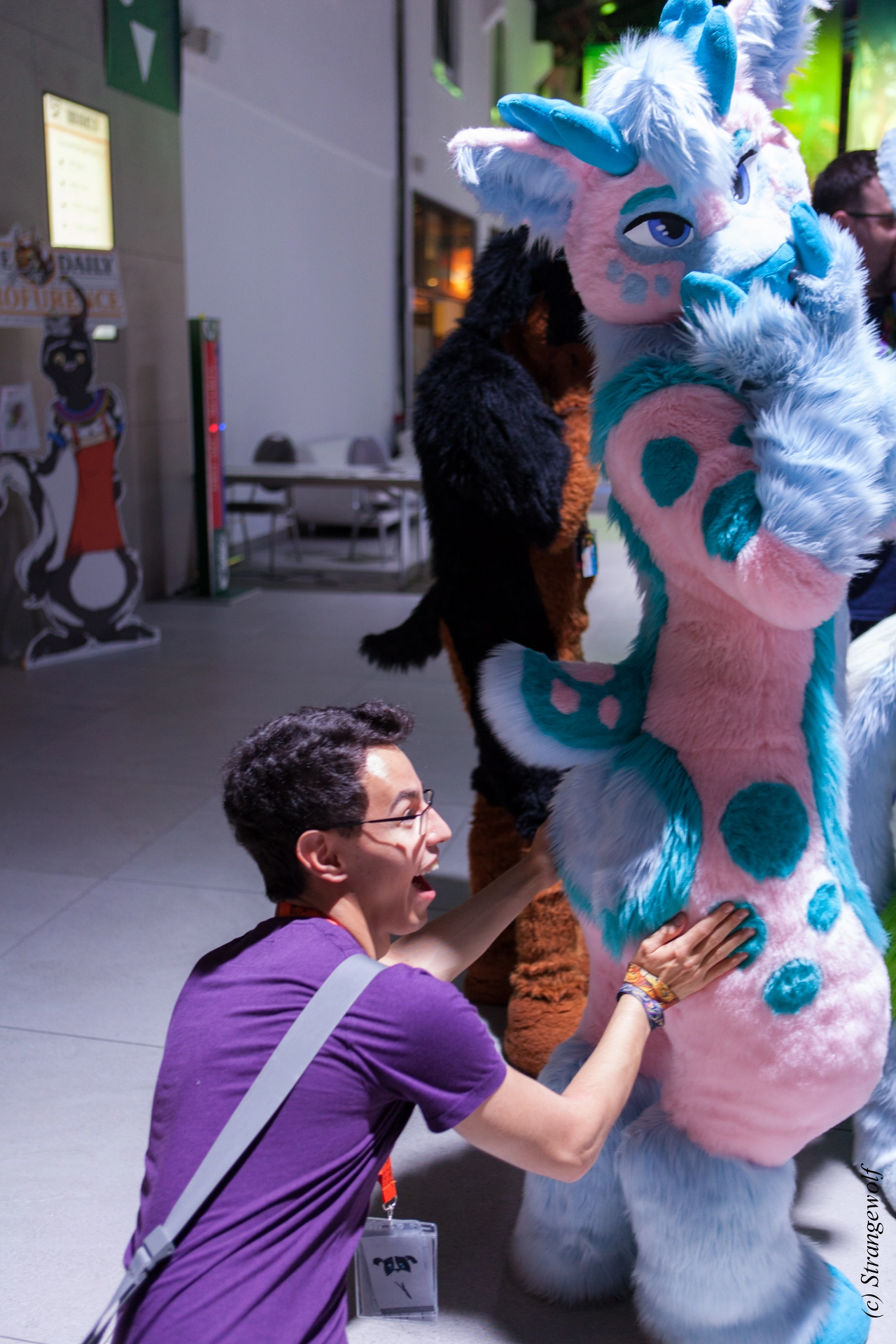 full image IMG_5007-lr19t.jpg