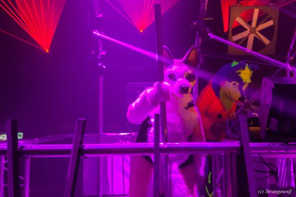 IMG_5032-lr19t.jpg of EF/EF24/