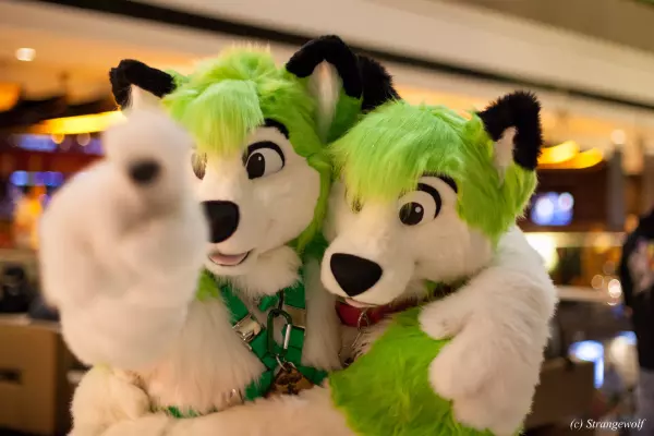 IMG_8084-lr19t.jpg of MFF/MFF2017/