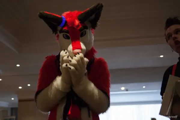 IMG_7416-lr16t.jpg of CFZ/CFZ2016/