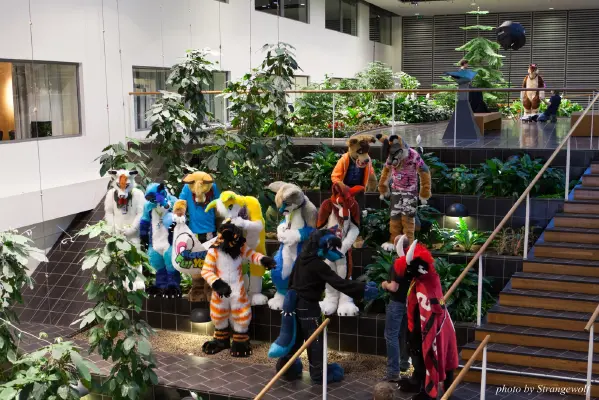 IMG_1665-lr16t.jpg of NFC/NFC2017/