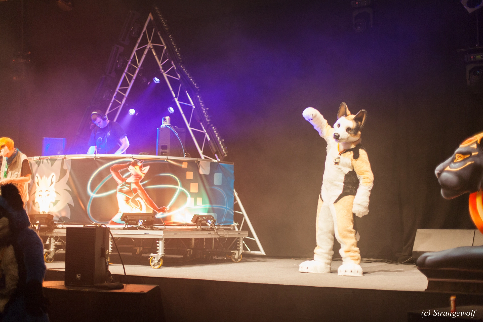 full image IMG_6670-lr19t.jpg