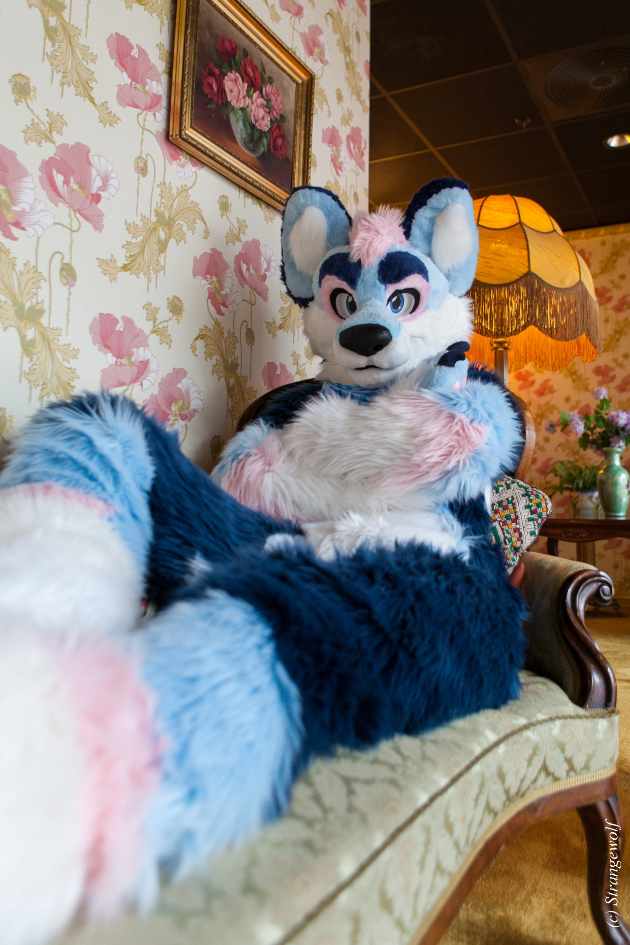 full image IMG_8457-lr19t.jpg