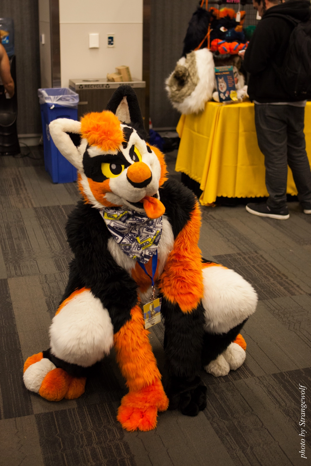 full image IMG_1019-lr16t.jpg