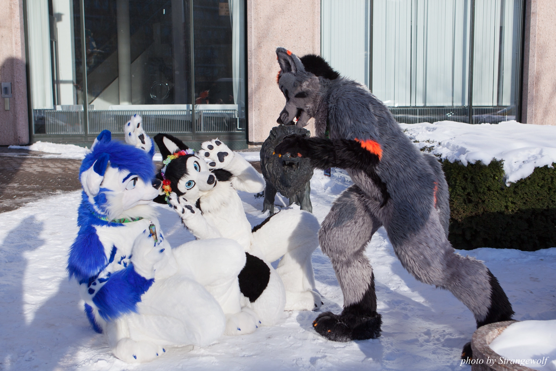 full image IMG_0102-lr19t.jpg