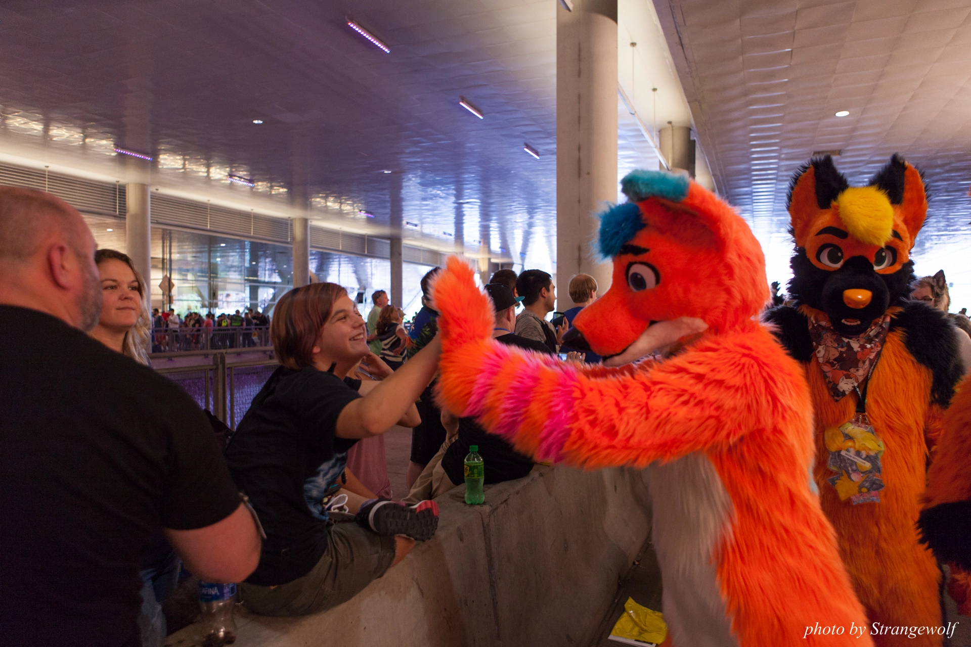 full image IMG_4501-lr19t.jpg