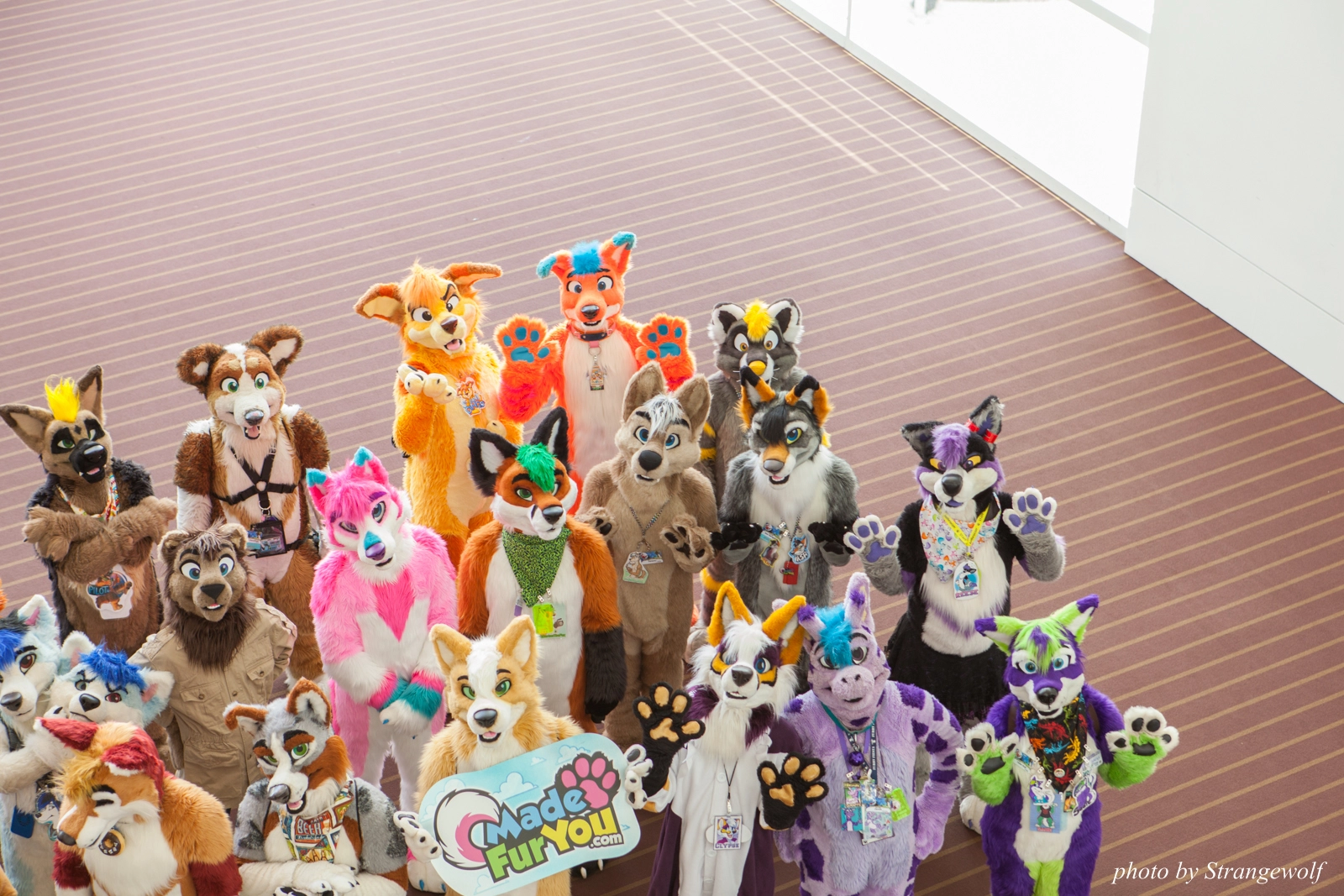 full image IMG_4097-lr16t.jpg