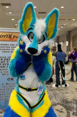 IMG_4550-lr19t.jpg of TFF/TFF2022/