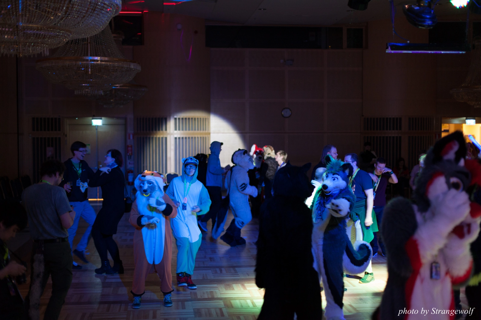 full image IMG_1814-lr16t.jpg