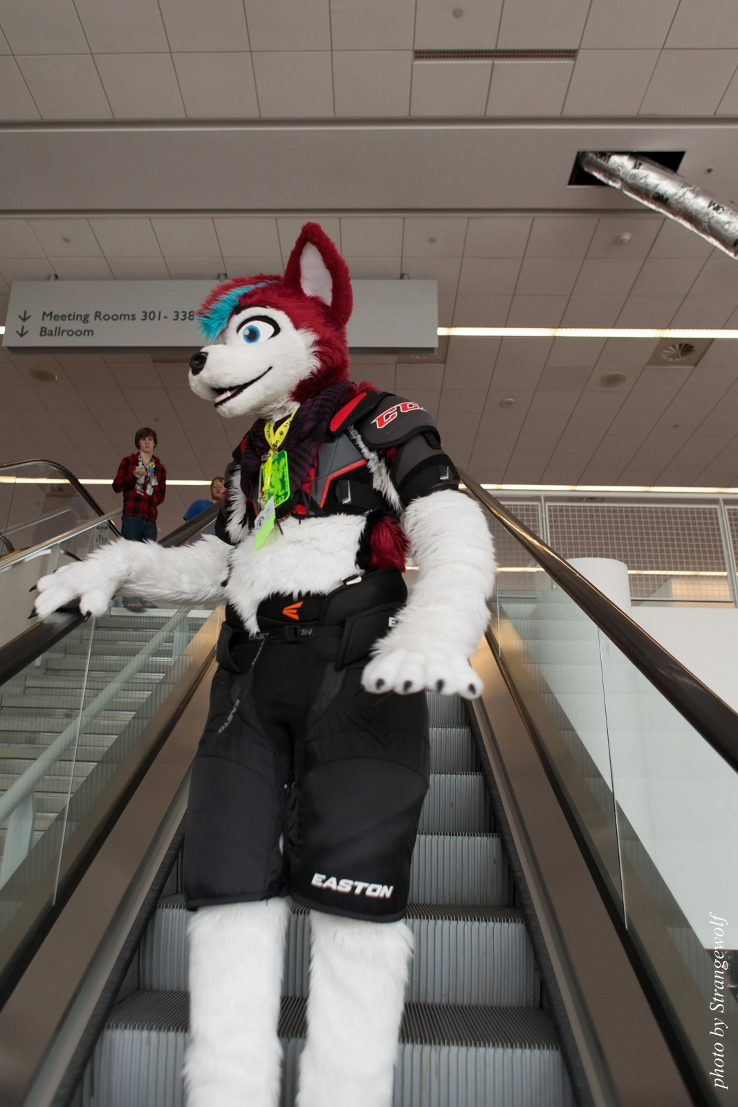 full image IMG_8151-lr16t.jpg
