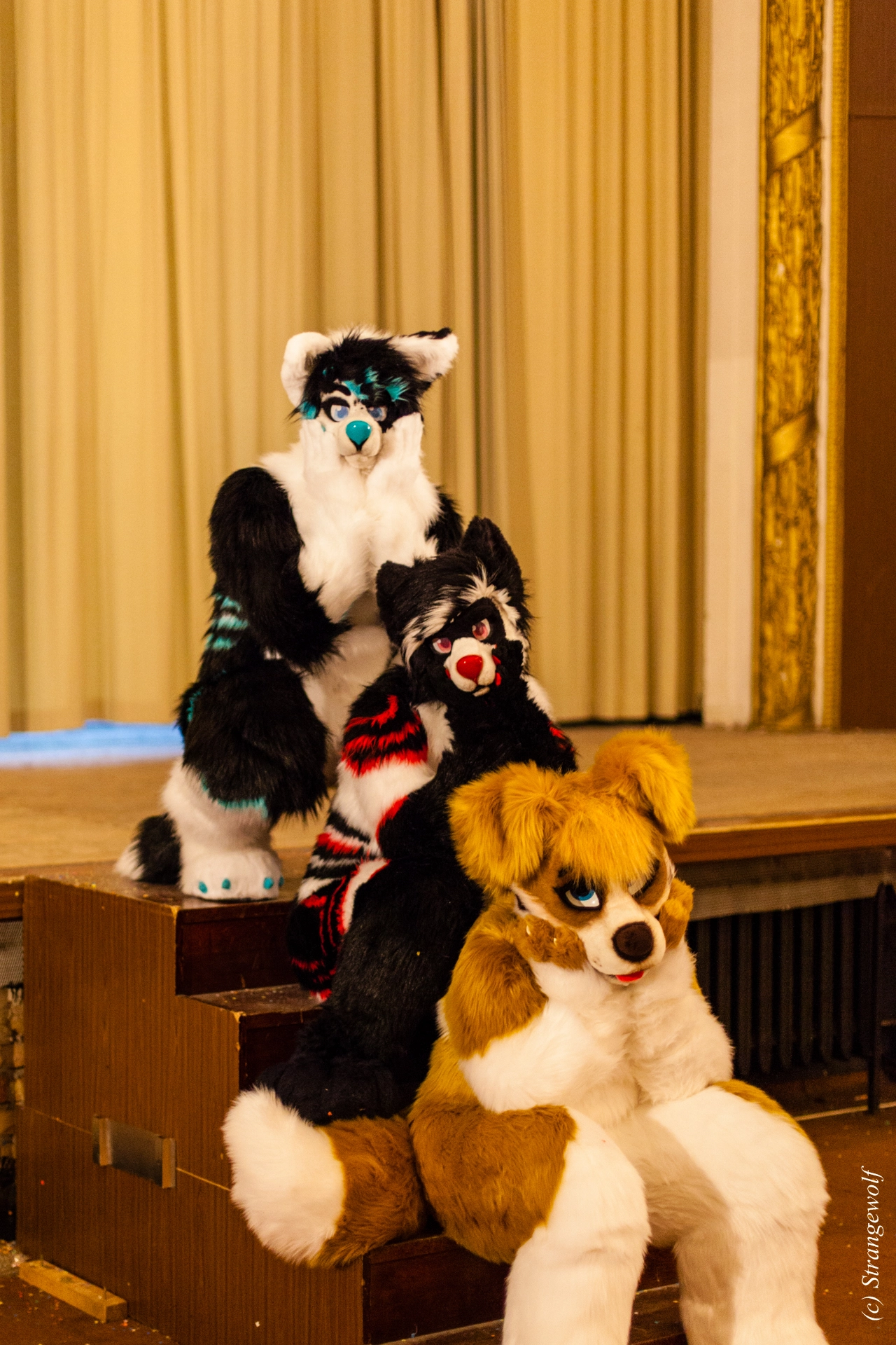 full image IMG_5850-lr19t.jpg