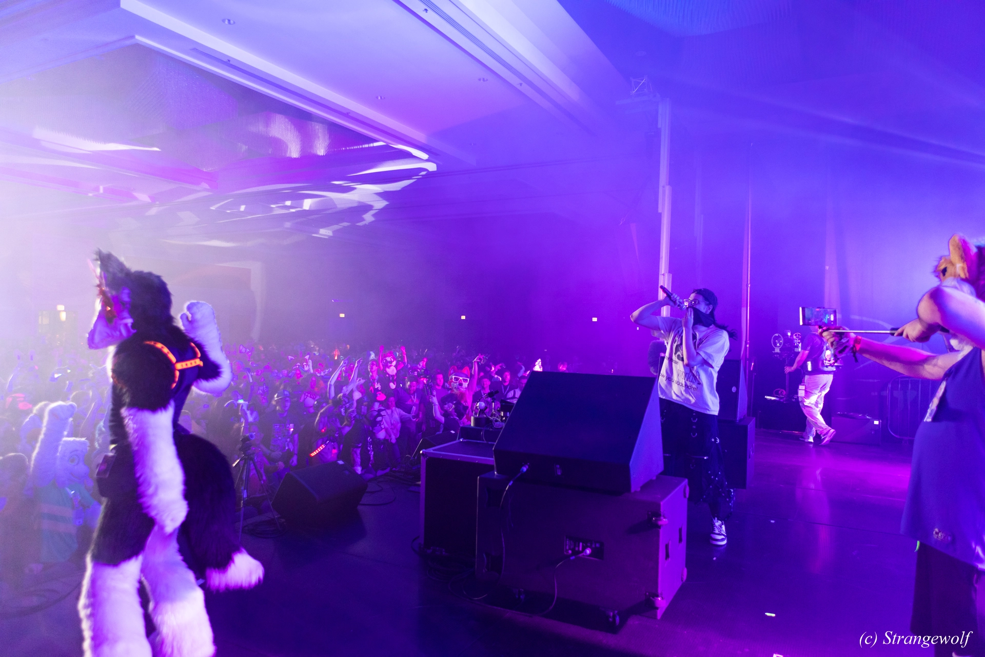 full image 1R3A4924-lr19t.jpg