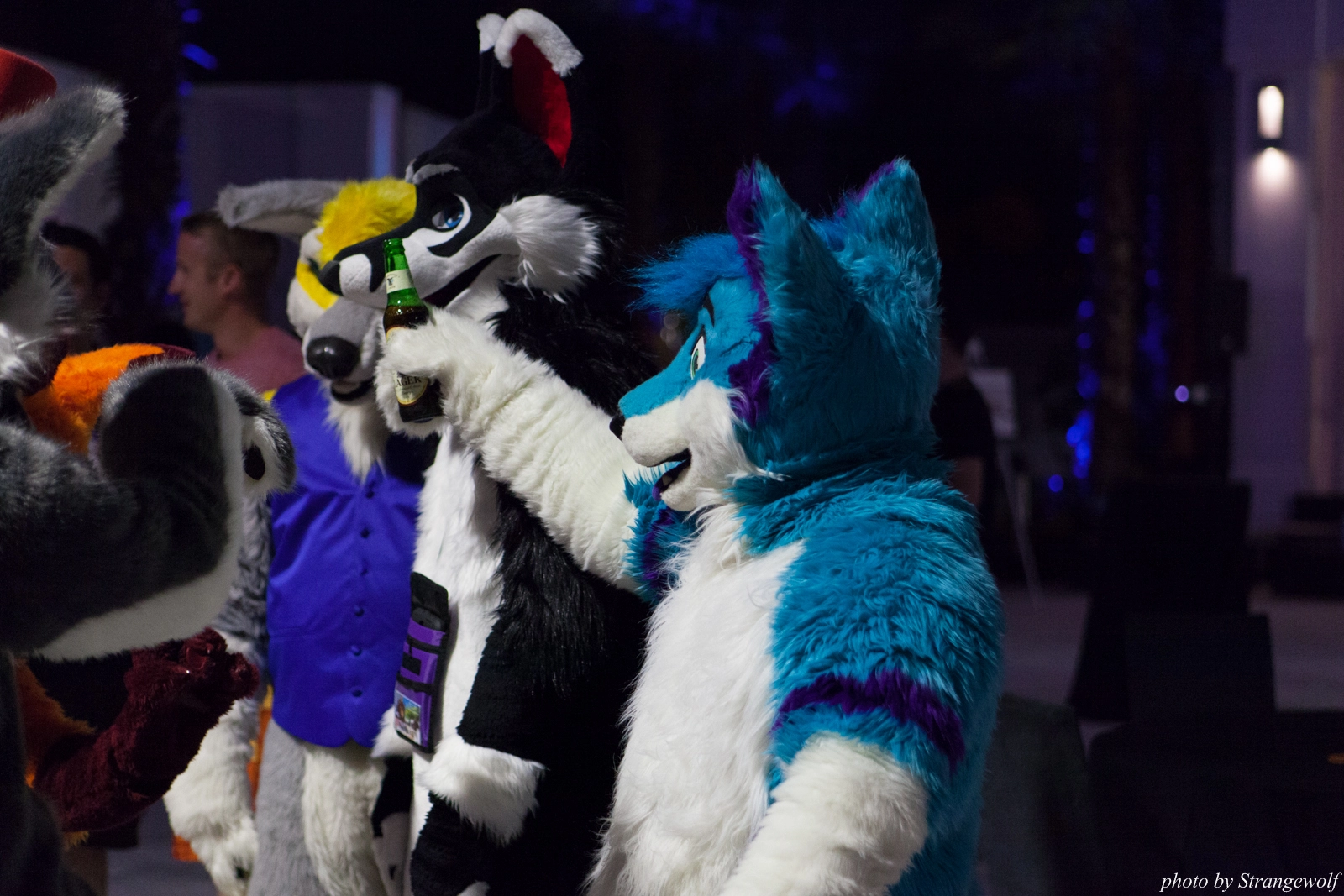 full image IMG_8603-lr16t.jpg