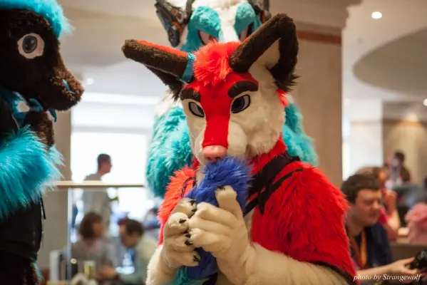 IMG_7409-lr16t.jpg of CFZ/CFZ2016/