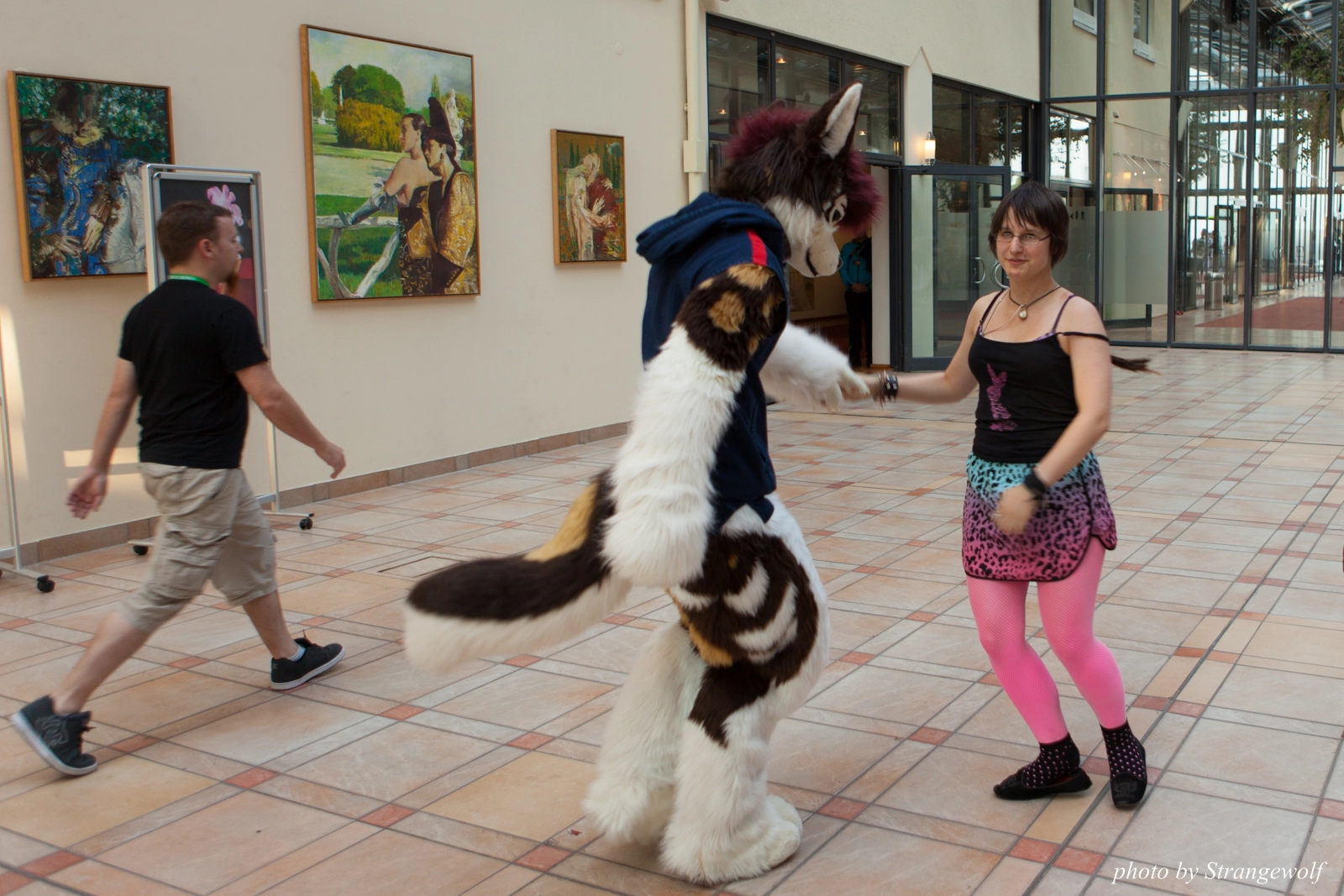 full image IMG_3205-lr16t.jpg