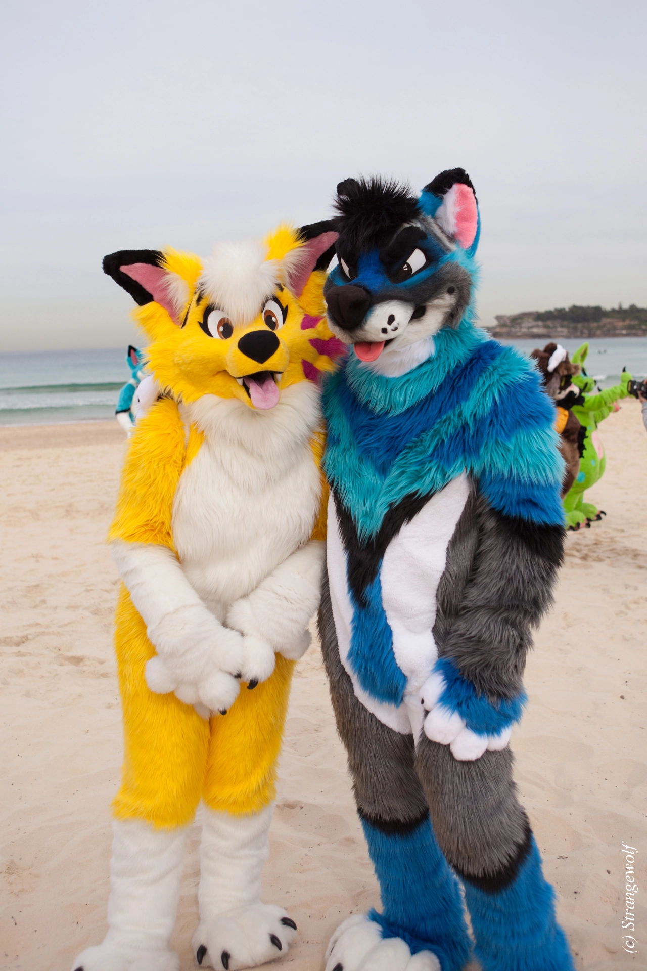 full image IMG_4479-lr19t.jpg