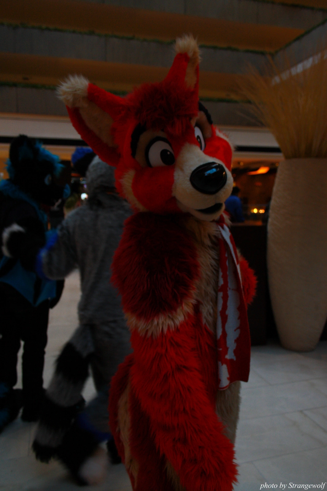 full image IMG_0771-lr.jpg