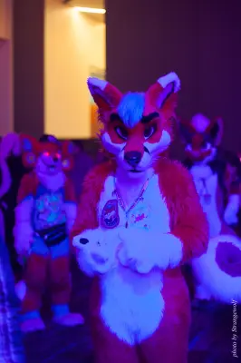 IMG_1364-lr16t.jpg of FC/FC2017/