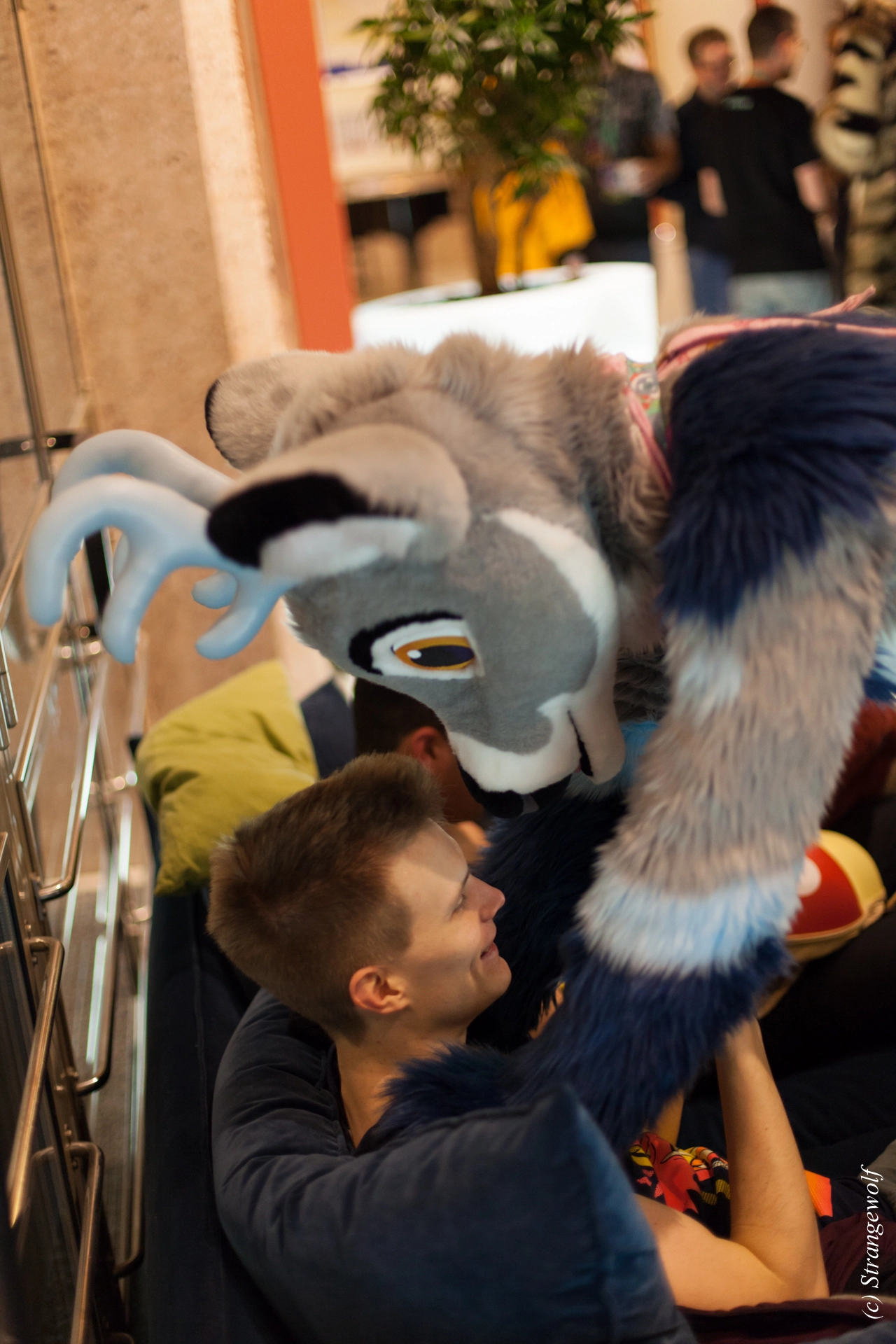 full image IMG_9757-lr19t.jpg