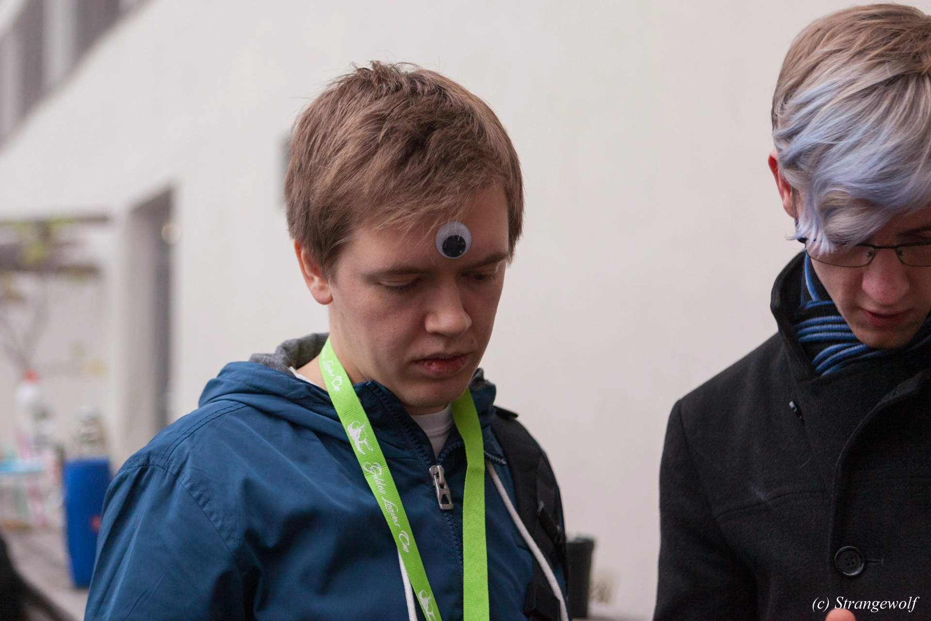 full image IMG_7011-lr19t.jpg