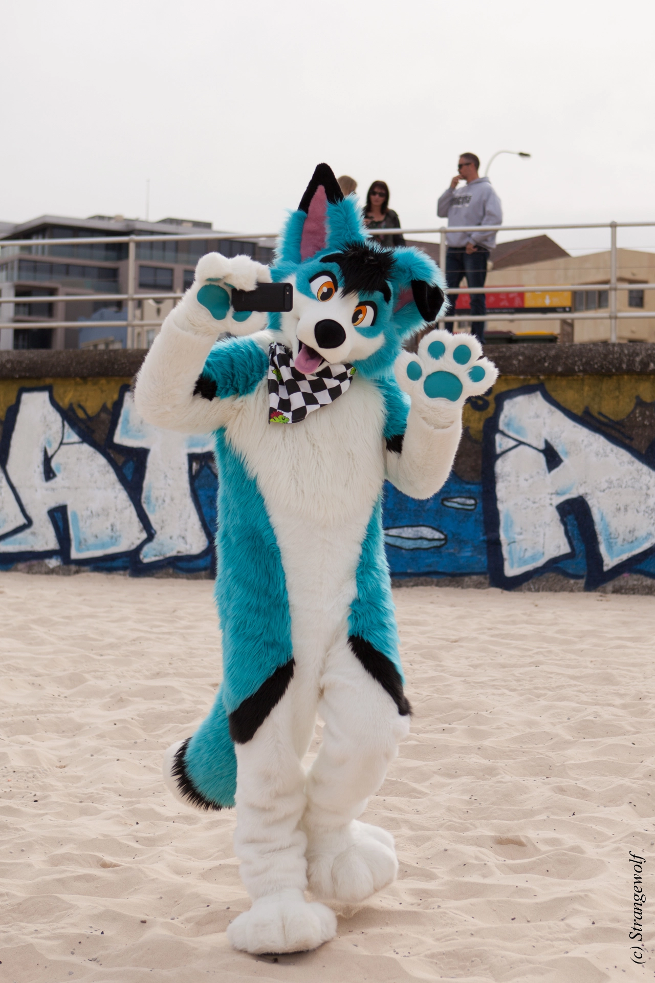 full image IMG_4423-lr19t.jpg