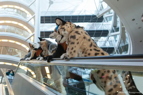 IMG_0408-lr19t.jpg of NFC/NFC2018/OFA-Shoot/