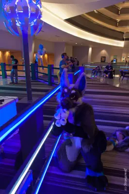 IMG_1319-lr19t.jpg of FWA/FWA2018/