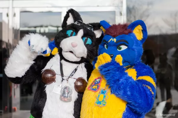 IMG_8338-lr19t.jpg of MFF/MFF2017/