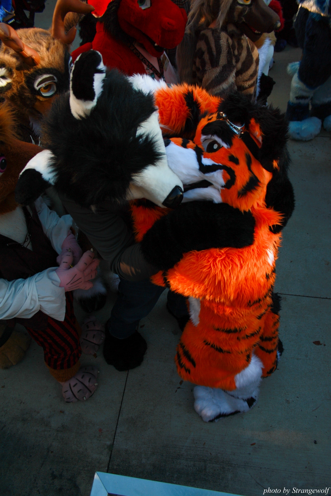 full image IMG_0693-lr.jpg