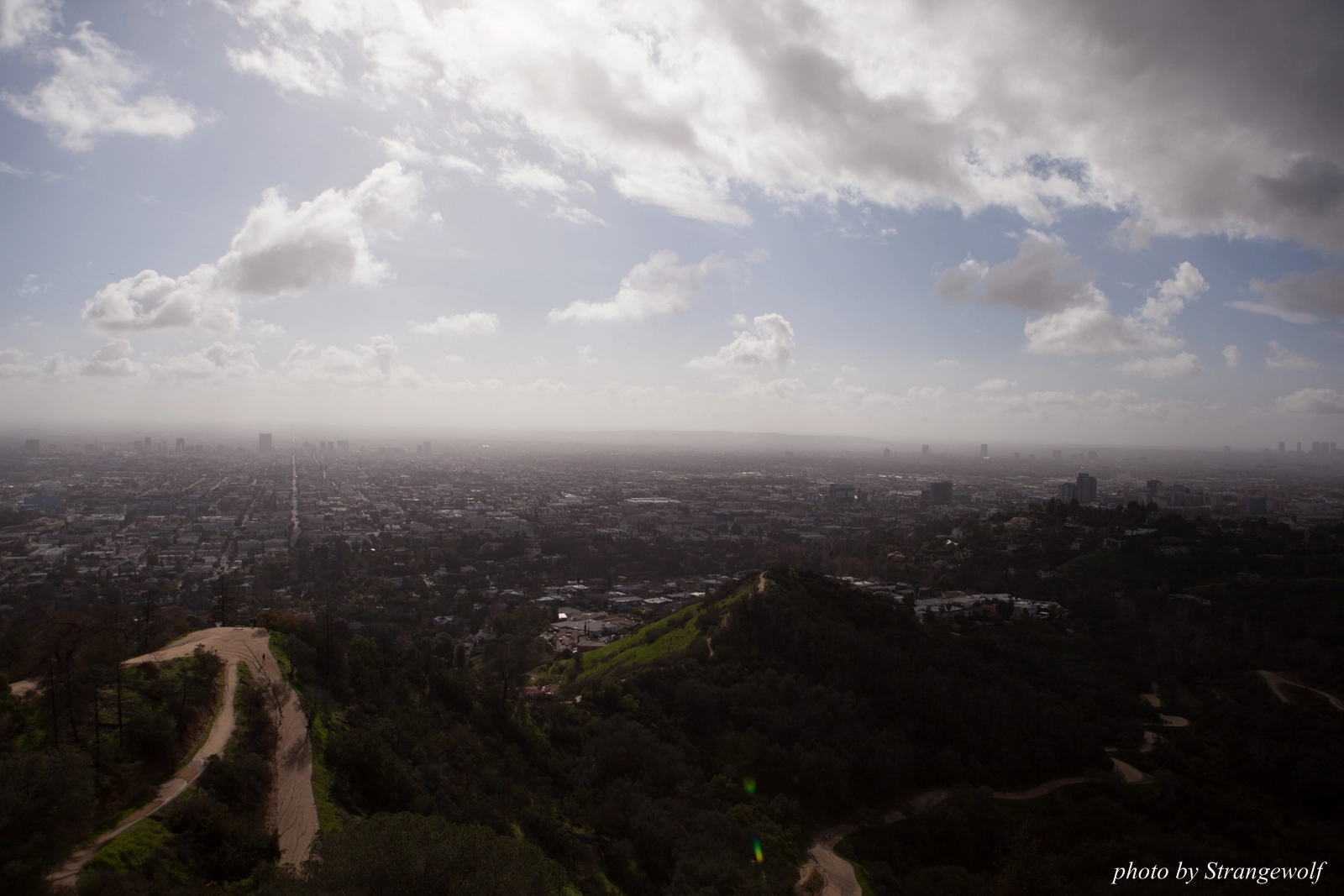 full image IMG_0969-lr16t.jpg