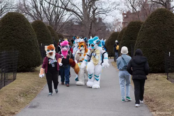 IMG_3259-lr19t.jpg of ANE/ANE2022/Suitwalk/