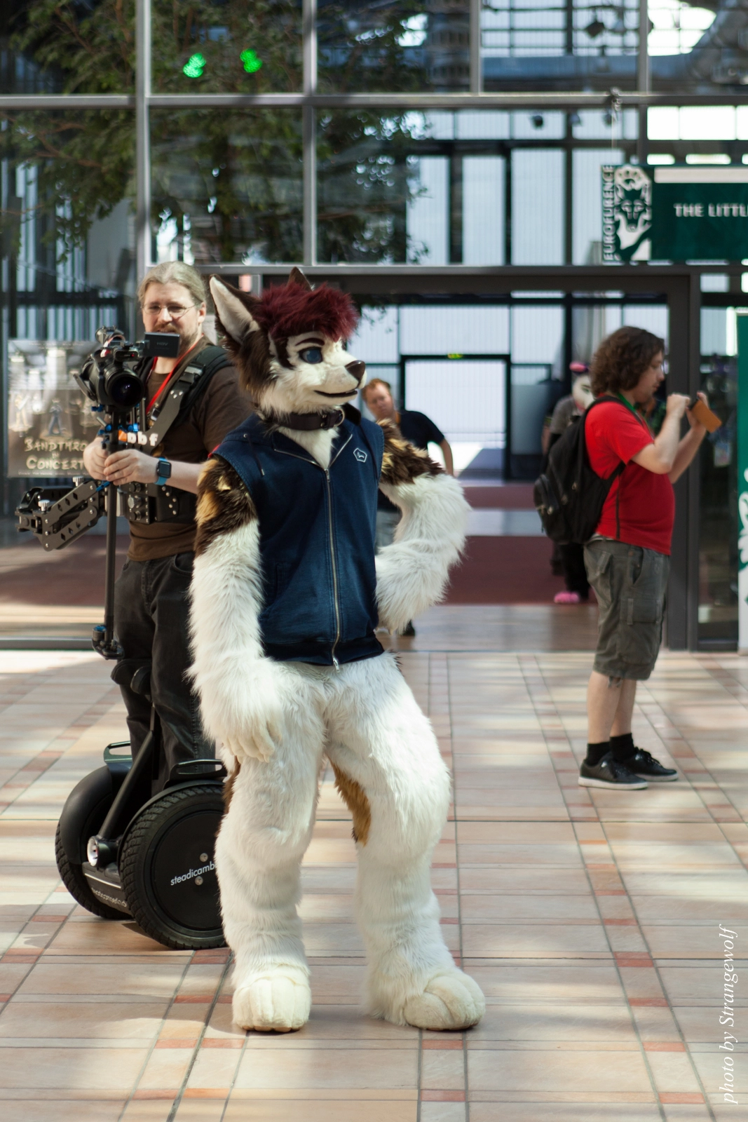full image IMG_1848-lr16t.jpg
