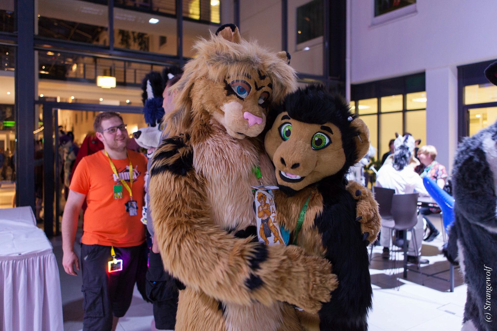 full image IMG_4879-lr19t.jpg