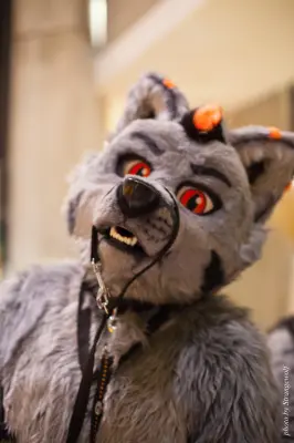 IMG_4111-lr16t.jpg of MFF/MFF2015/