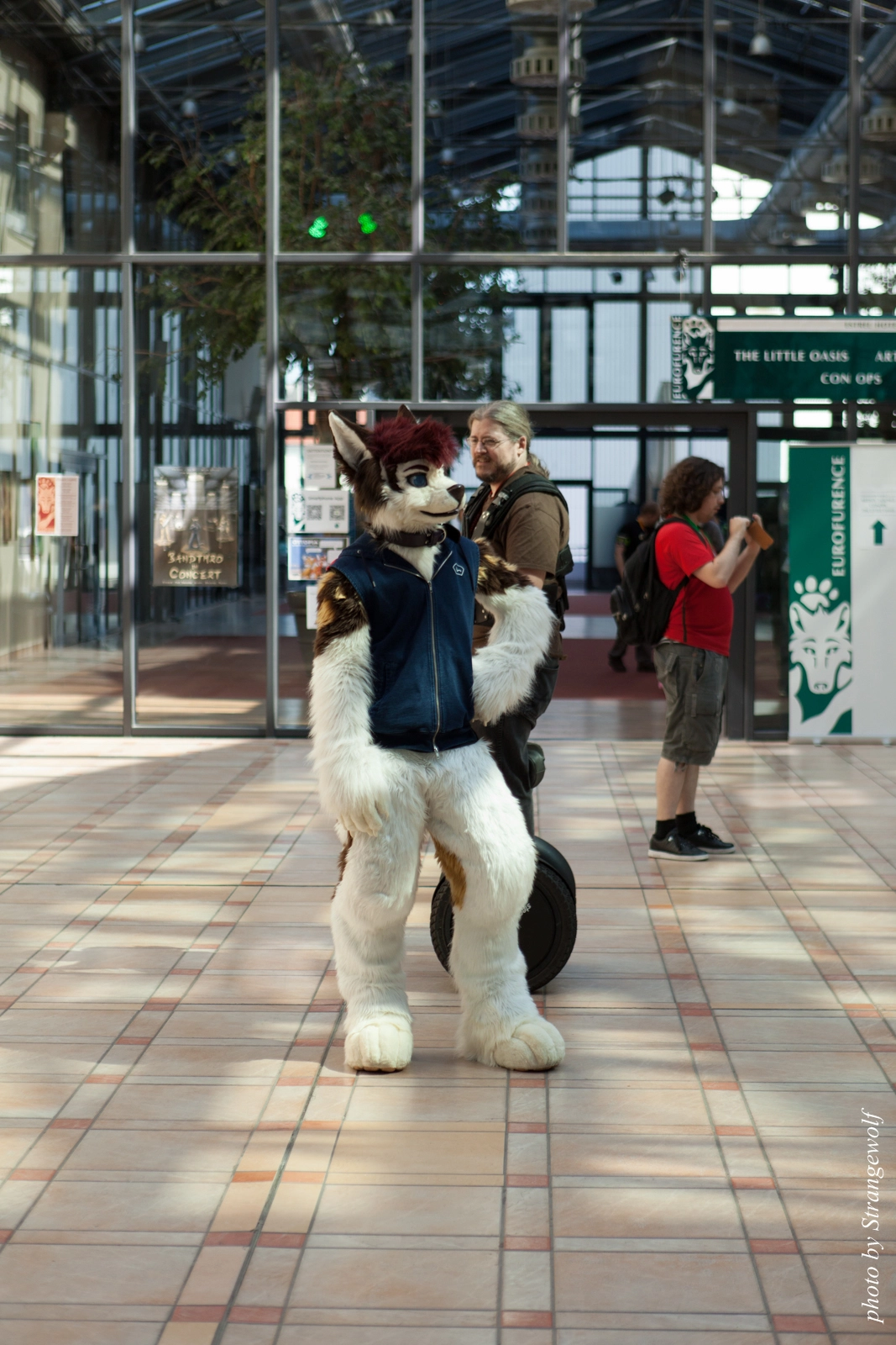 full image IMG_1847-lr16t.jpg