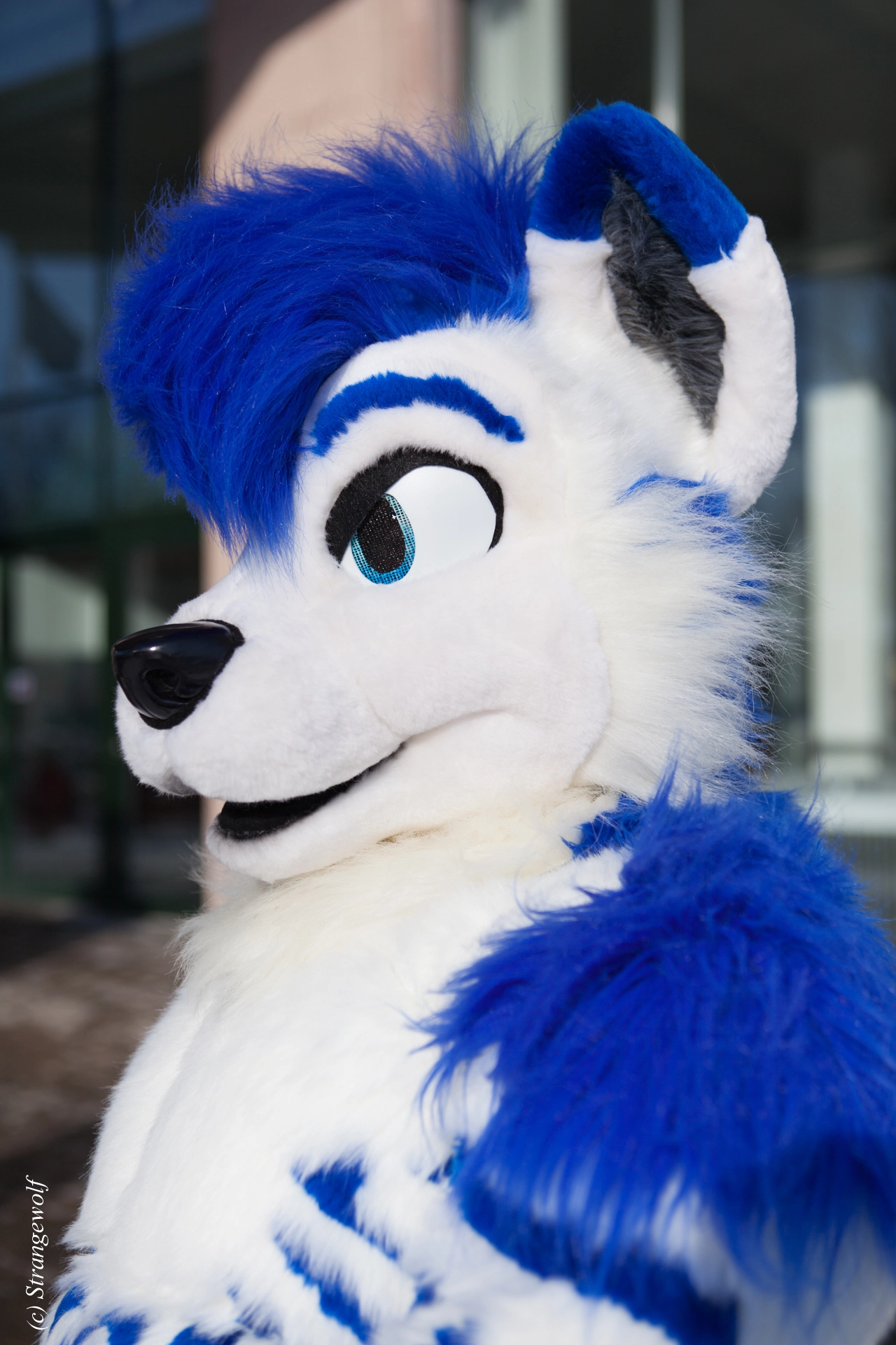 full image IMG_9749-lr19t.jpg