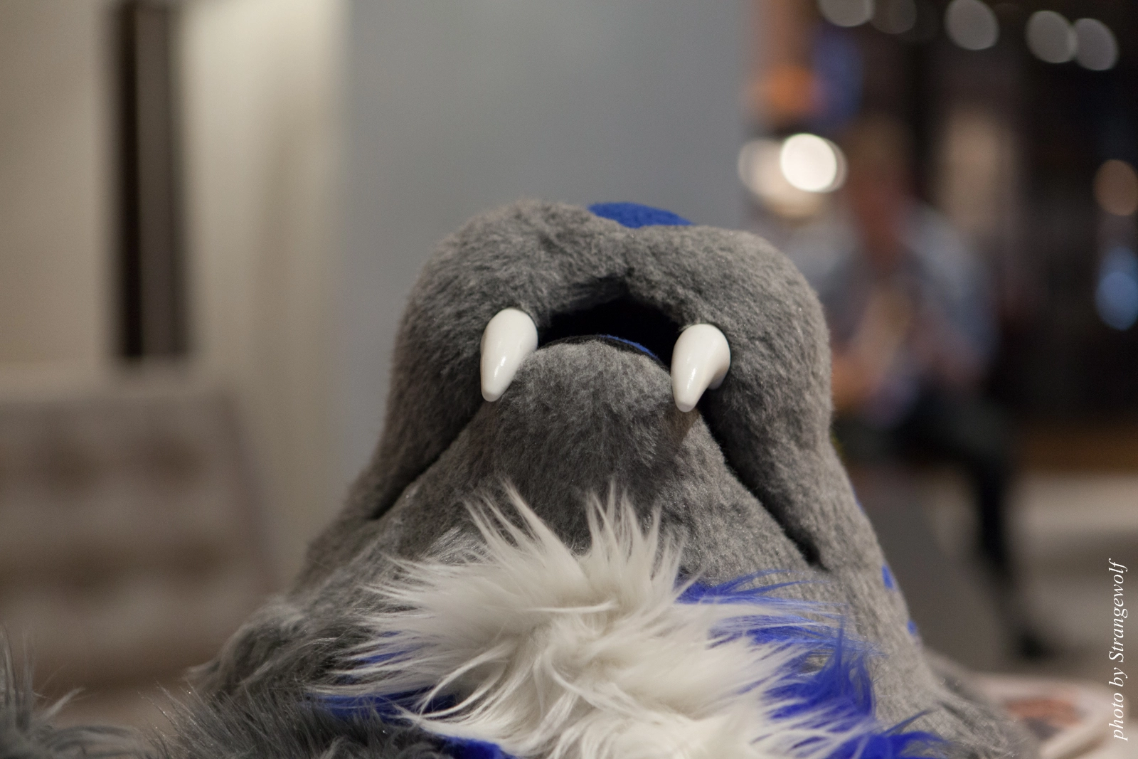 full image IMG_7978-lr16t.jpg