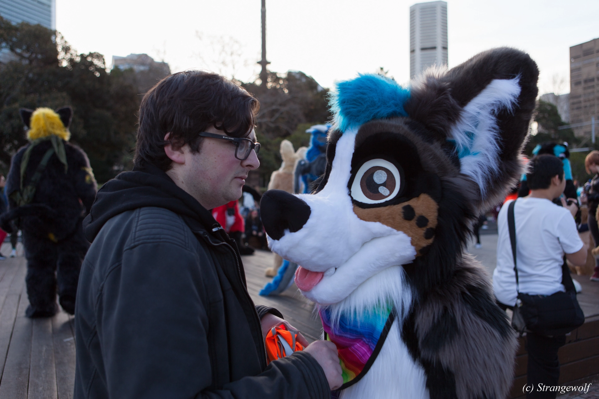 full image IMG_4681-lr19t.jpg