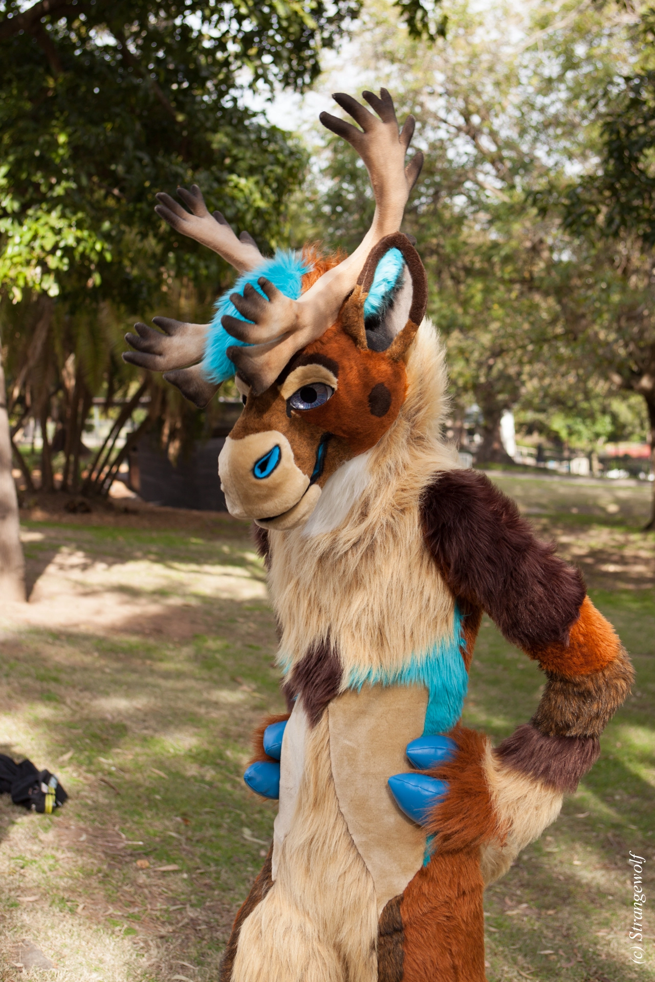 full image IMG_4239-lr19t.jpg