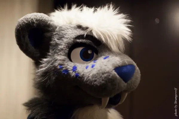 IMG_5301-lr16t.jpg of MFF/MFF2015/