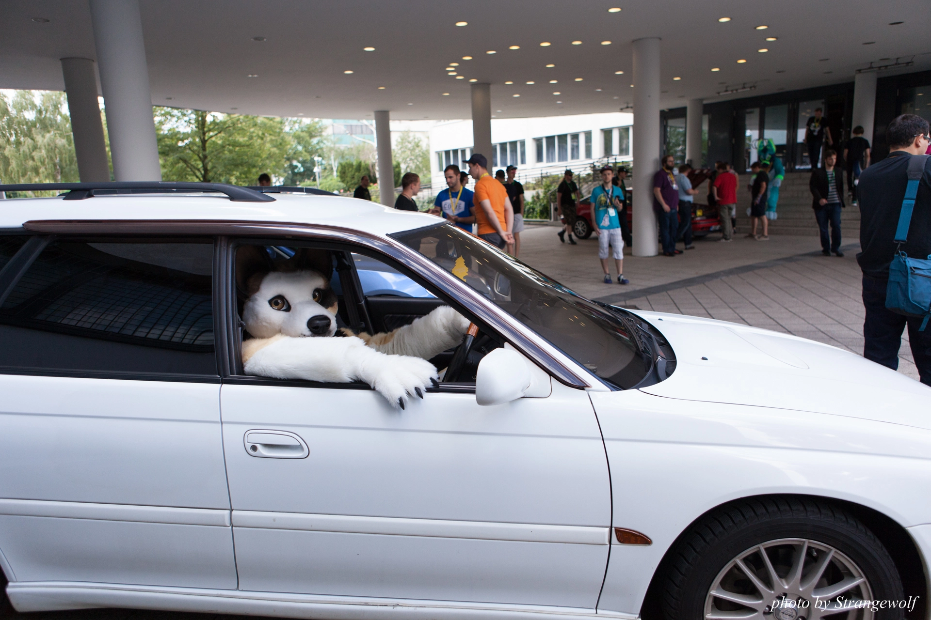 full image IMG_6837-lr19t.jpg