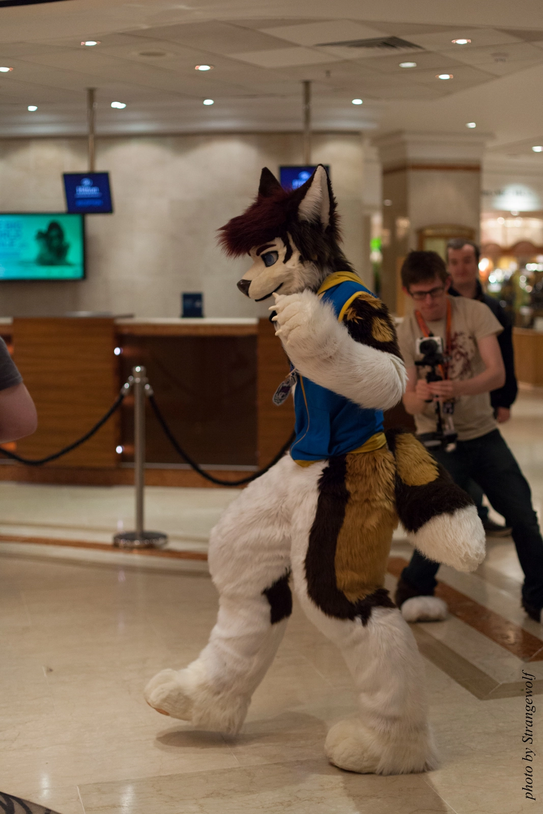 full image IMG_7594-lr16t.jpg