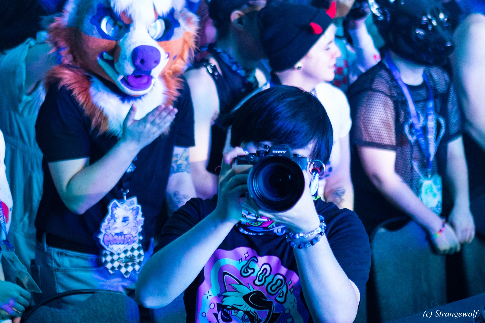 full image 1R3A5015-lr19t.jpg