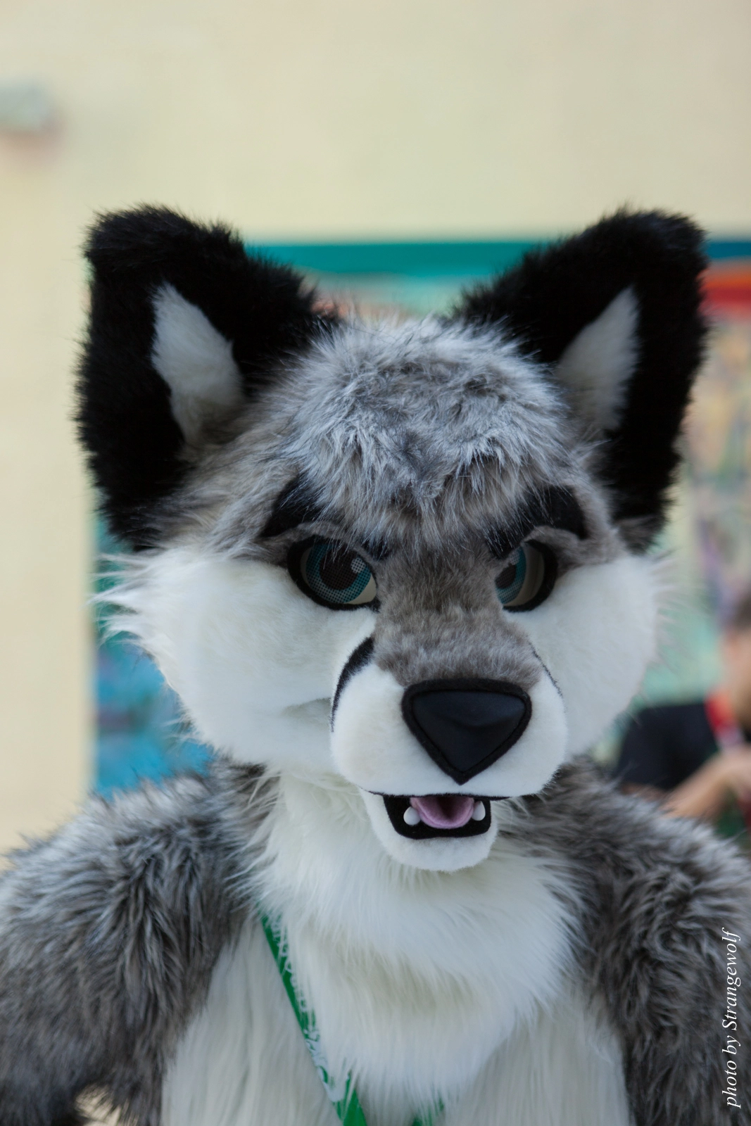 full image IMG_1868-lr16t.jpg