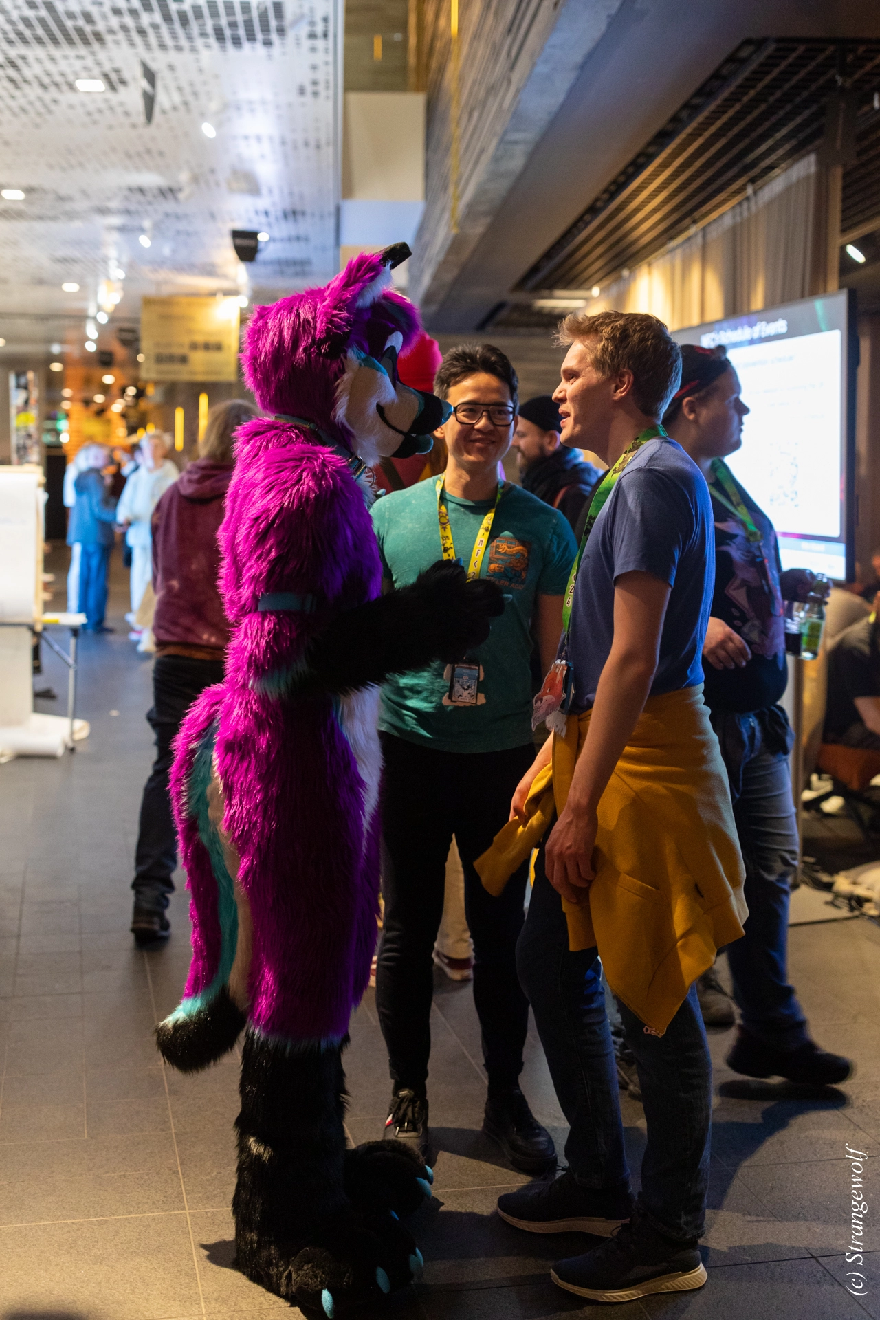 full image 1R3A3760-lr19t.jpg