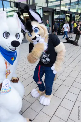 1R3A9265-lr19t.jpg of EF/EF29/