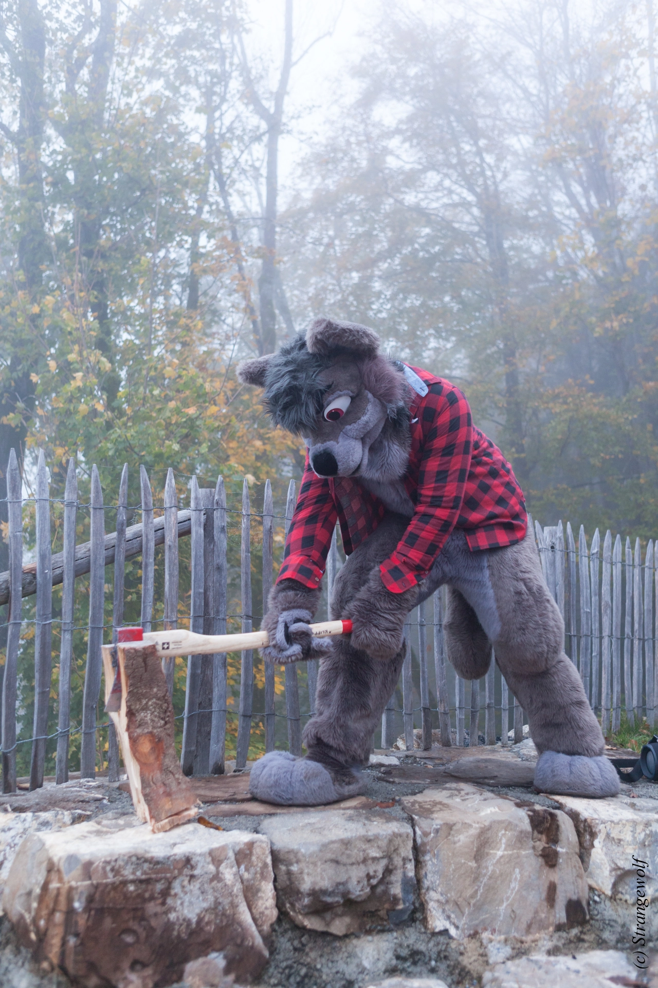 full image IMG_7083-lr19t.jpg