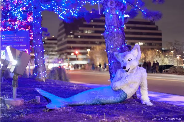 IMG_0778-lr16t.jpg of MFF/MFF2016/Photoshoot-Glitch_Merwusky/